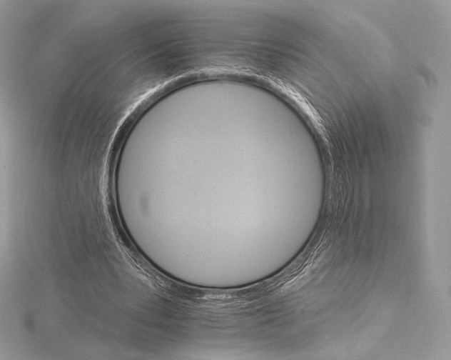X0000115650391200912081129