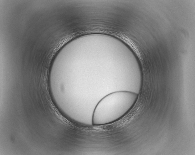X0000115650393200912081129