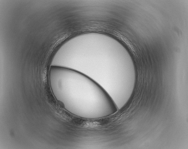 X0000115650403200912081129