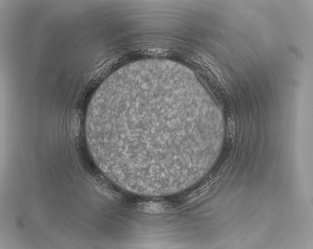 X0000115650412200912081129