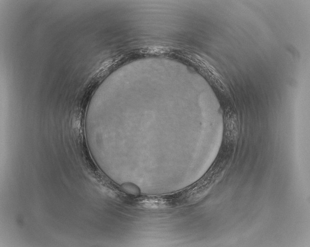 X0000115650415200912081129