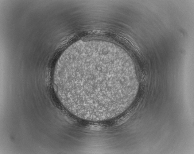X0000115650416200912081129