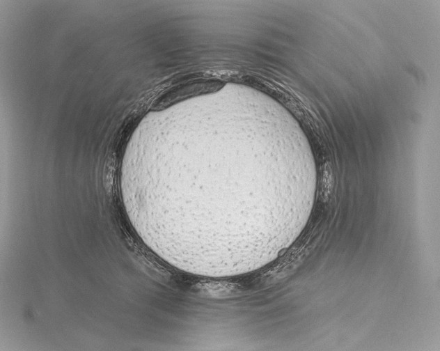 X0000115650417200912081129