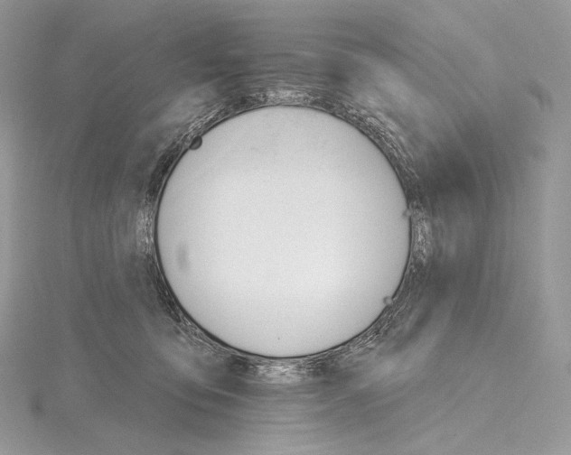 X0000115650419200912081129