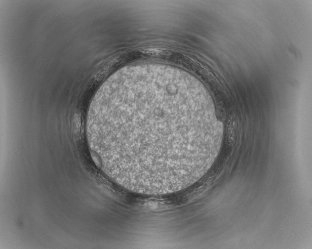 X0000115650420200912081129
