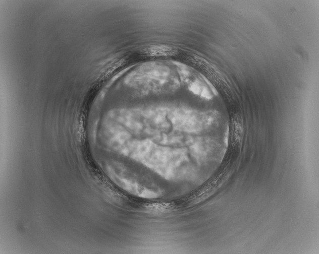 X0000115650422200912081129