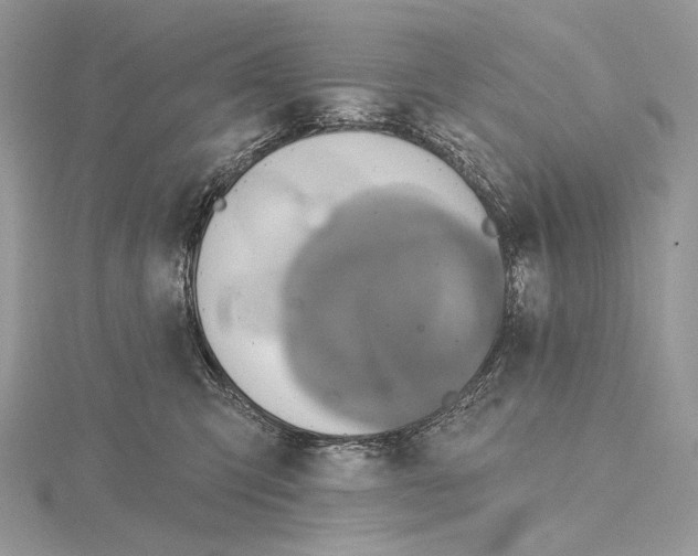X0000115650423200912081129