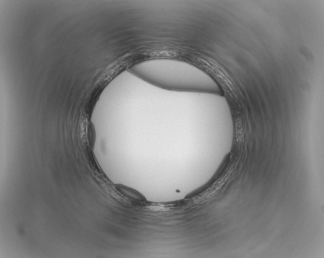 X0000115650425200912081129
