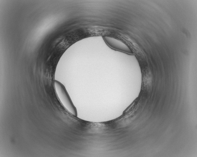 X0000115650429200912081129