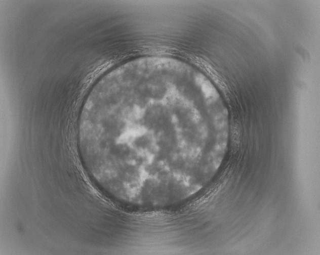 X0000115650433200912081128