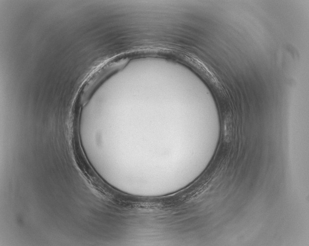 X0000115650436200912081128