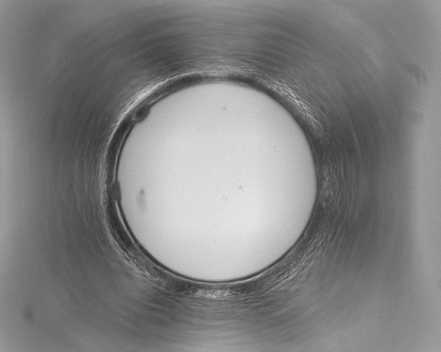 X0000115650440200912081128