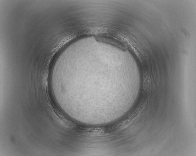 X0000115650443200912081128