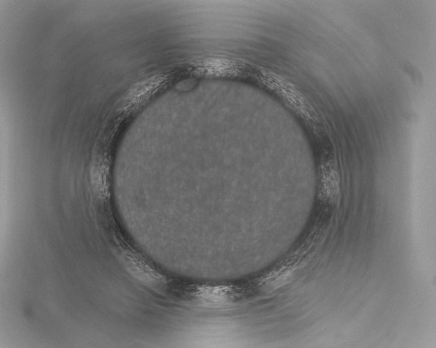X0000115650450200912081128