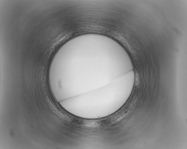 X0000115650454200912081128