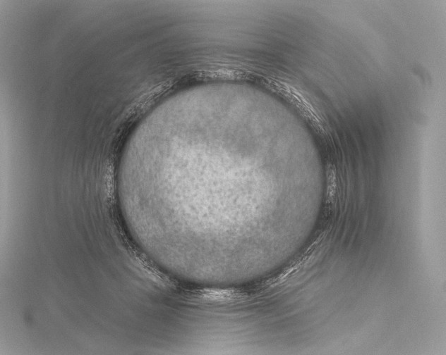 X0000115650457200912081128