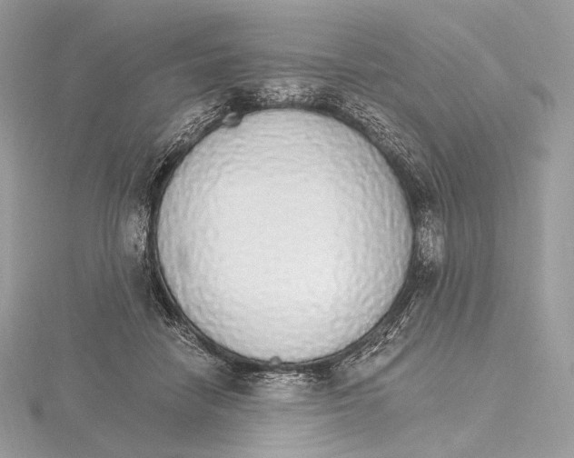 X0000115650458200912081128