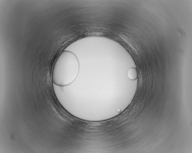 X0000115650459200912081128