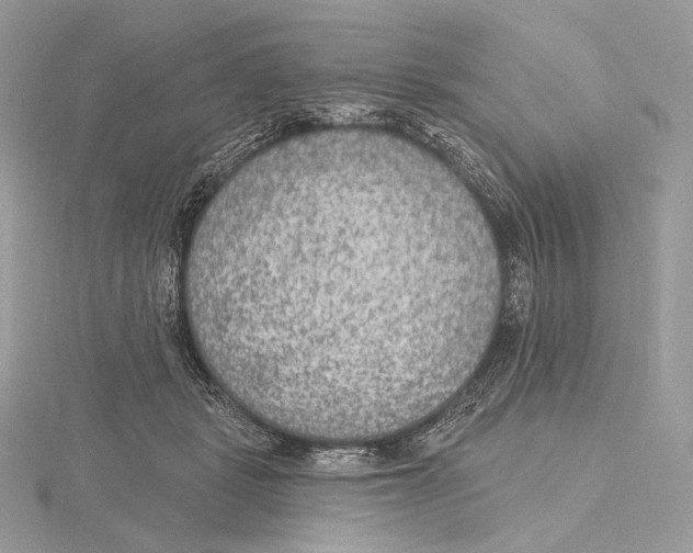 X0000115650461200912081128