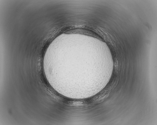 X0000115650462200912081128