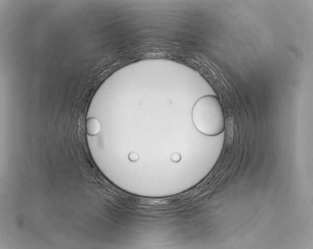 X0000115650463200912081128