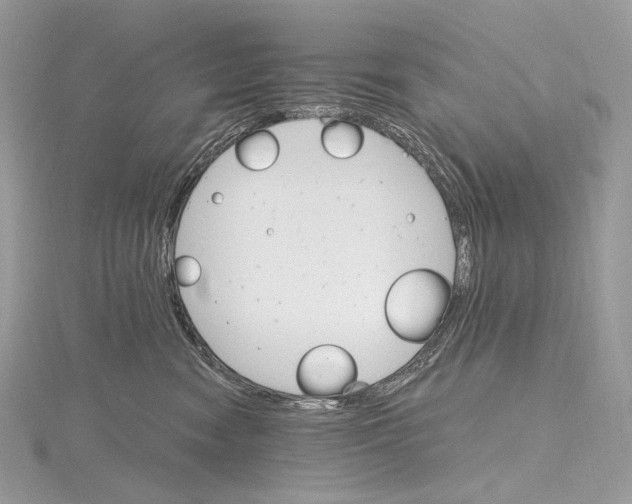 X0000115650474200912081128