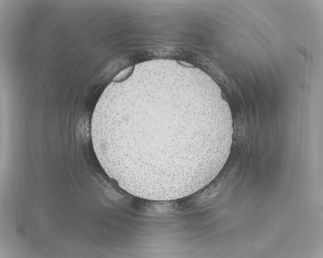 X0000115650479200912081129