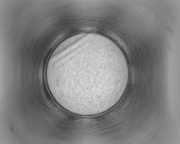 X0000115650482200912081128