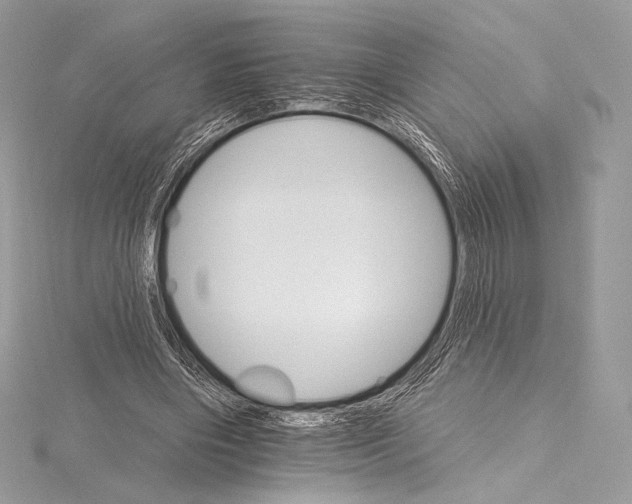X0000115650490200912081128
