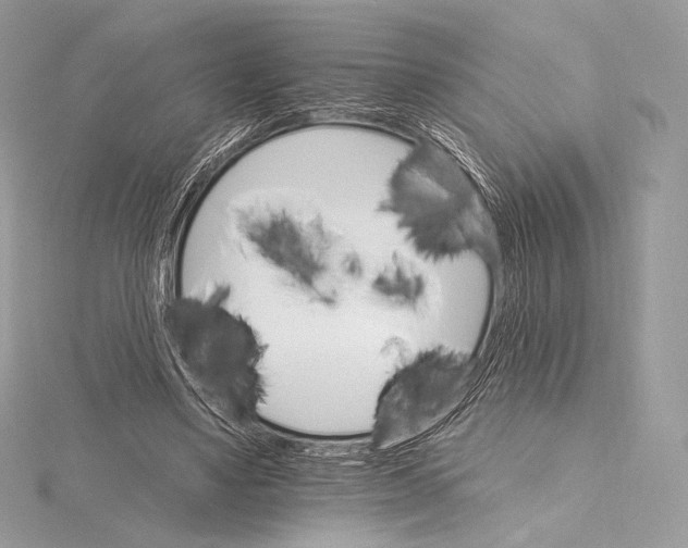 X0000115650491200912081128
