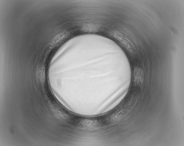 X0000115650494200912081128