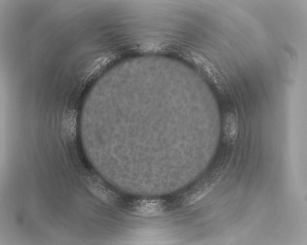 X0000115650495200912081128