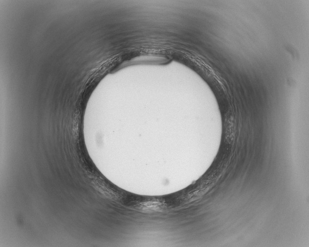 X0000115650505200912081128