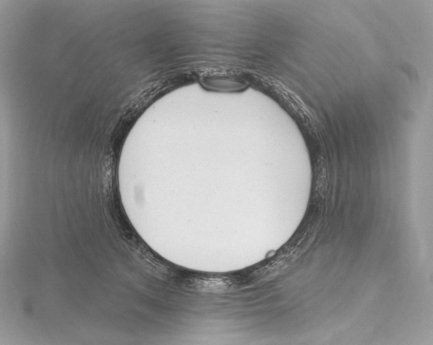 X0000115650513200912081127