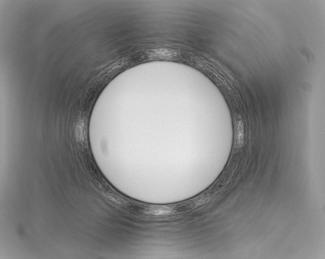 X0000115650514200912081127