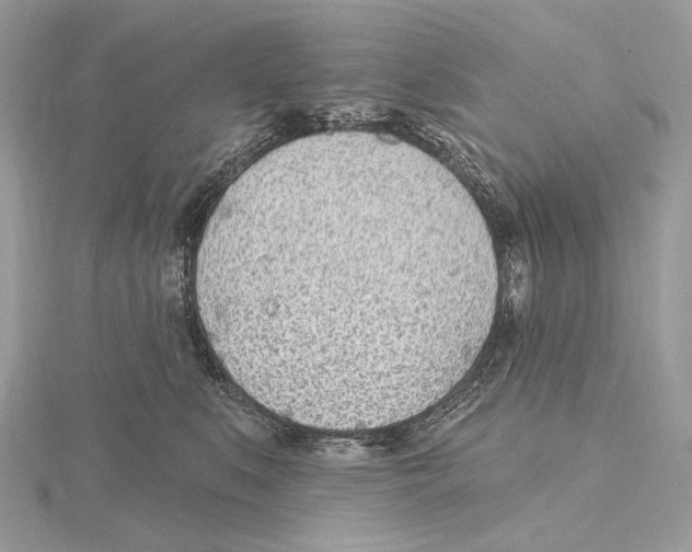X0000115650519200912081127