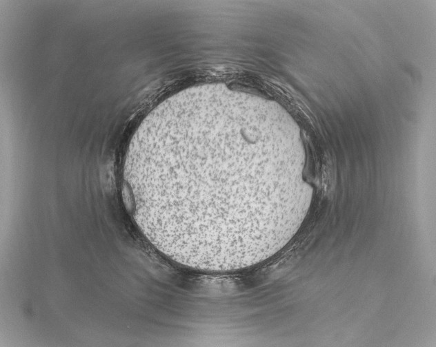 X0000115650520200912081127