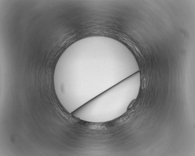 X0000115650521200912081127
