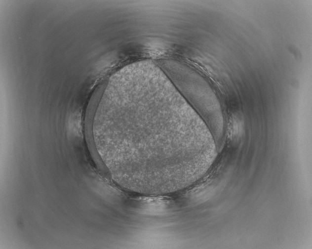 X0000115650524200912081127