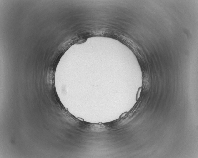 X0000115650525200912081127