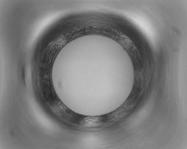X0000115650526200912081127