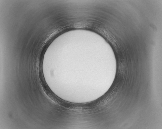 X0000115650530200912081127