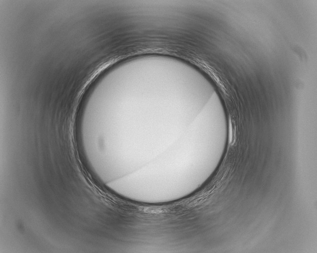 X0000115650531200912081127