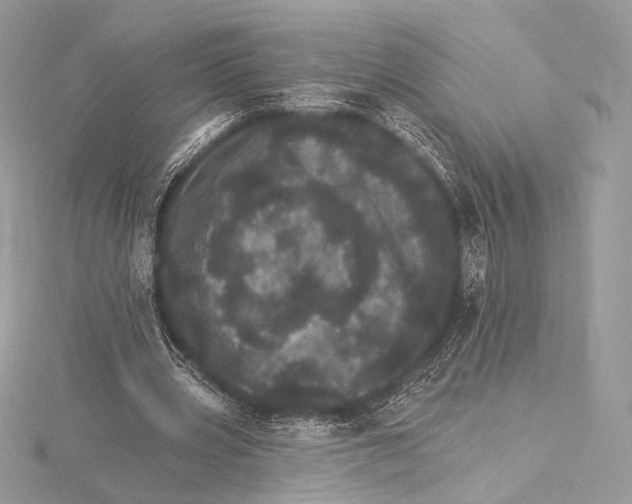 X0000115650533200912081127