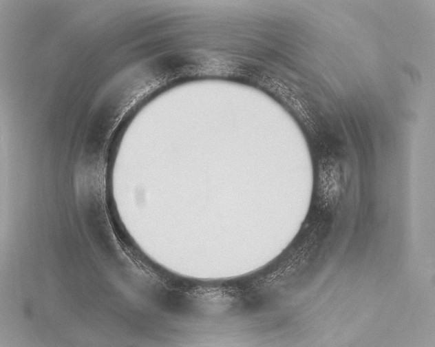 X0000115650534200912081127