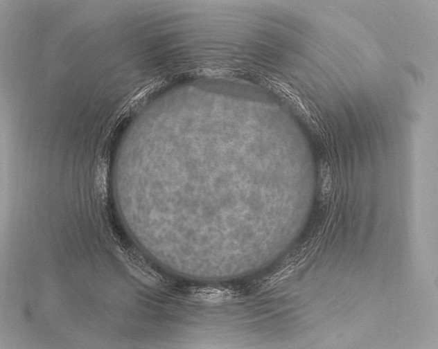 X0000115650542200912081127