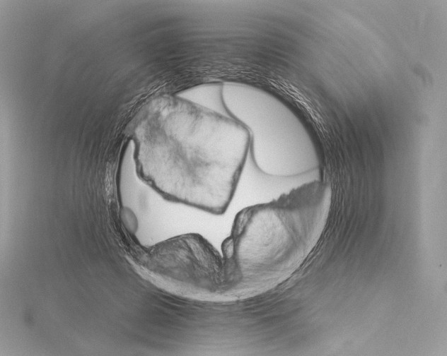 X0000115650545200912081127