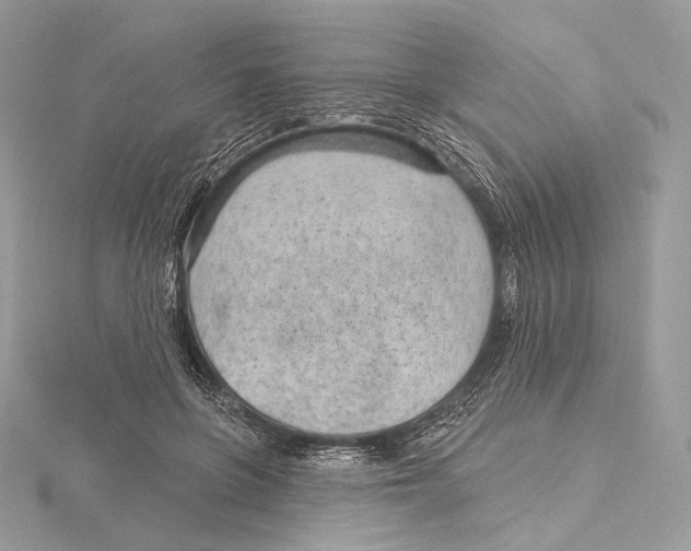 X0000115650551200912081127