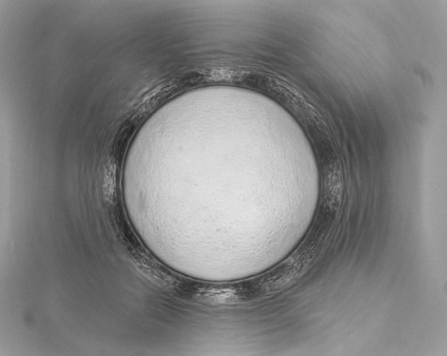 X0000115650554200912081127