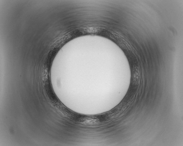 X0000115650555200912081127